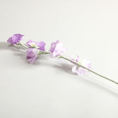 Sweetpea Light Purple Flowers