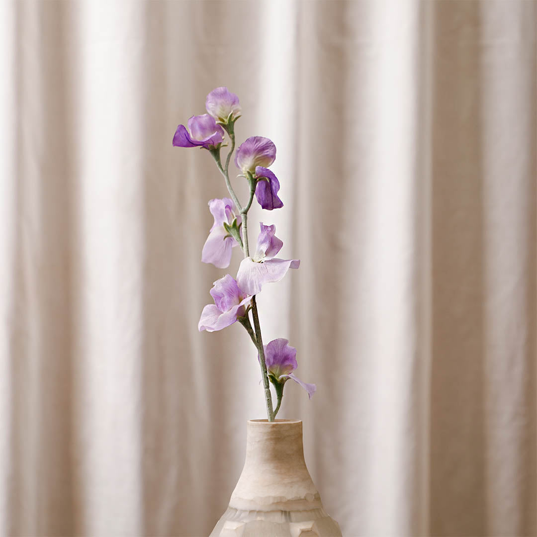 Sweetpea Light Purple Flowers