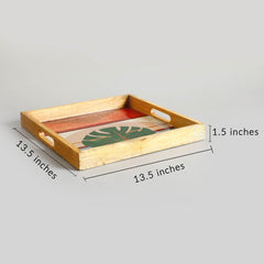 Darwin Large Tray