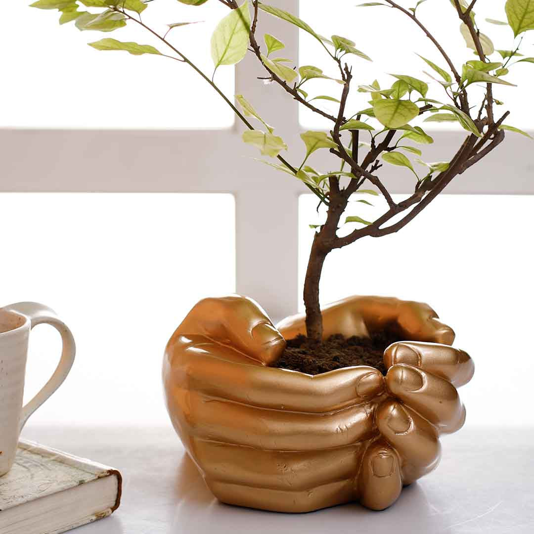 Hand Planter- Gold