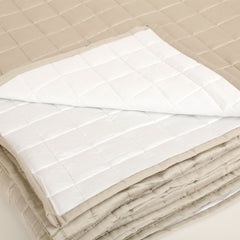 Vaani Quilted Reversible Bedspread Set