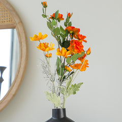 Cosmos Orange Flowers