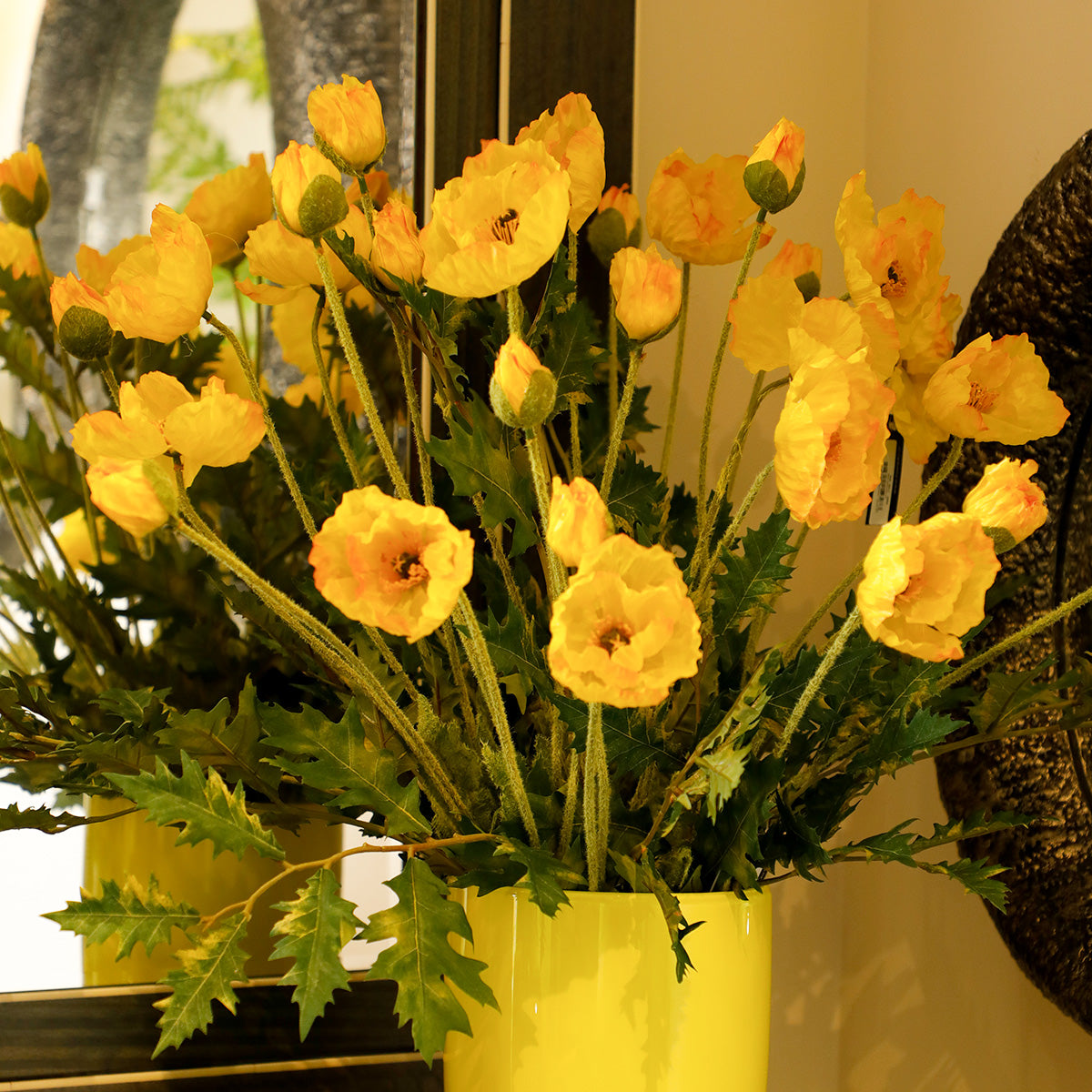 Aconitum Yellow Flowers