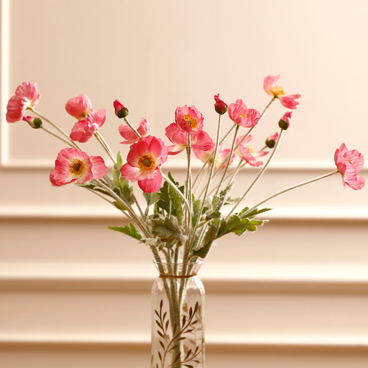 Pink Poppy Flowers