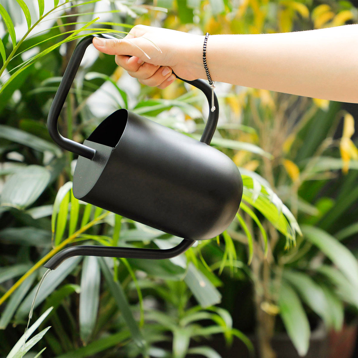 Black Watering Can