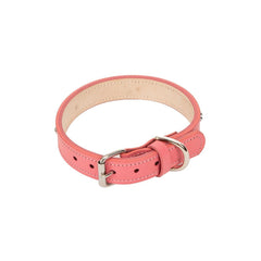 Daisy Dog Collar Large - Home4u