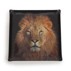 Platex Acrylic Tray Lion Portrait